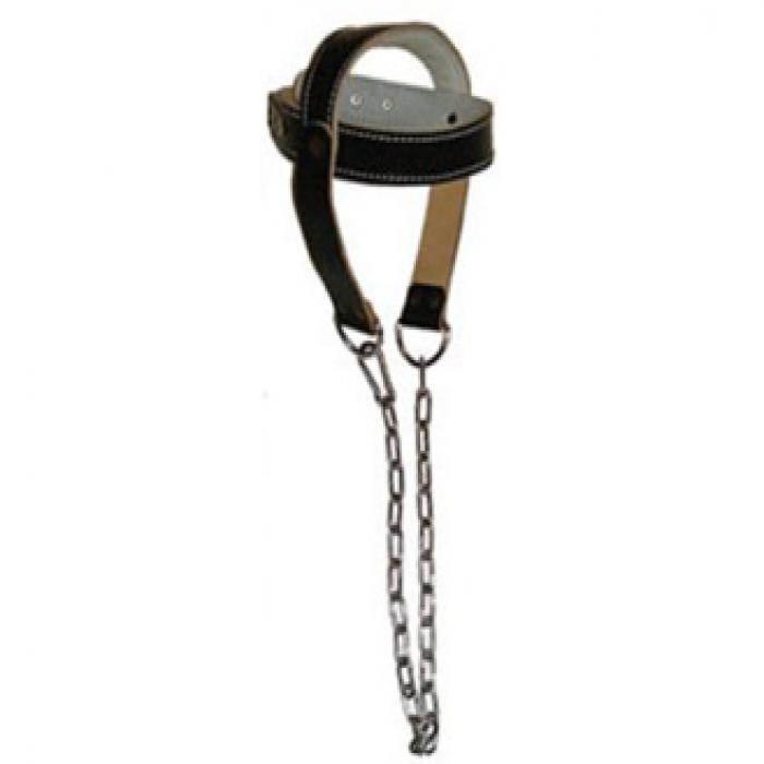 Head Harness